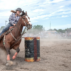 VTAS Barrel Racing Clinic